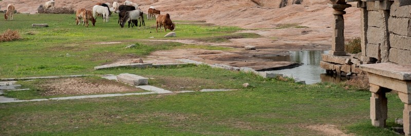 hampi1